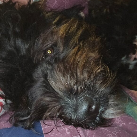 Live Notice - Picture 7 of 9